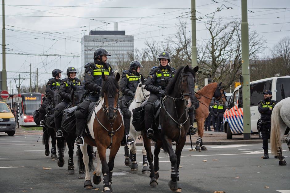 Code de la route en suisse : conseil juridique et droit